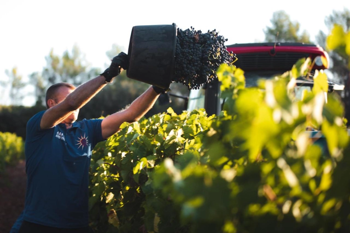 Chateau De Berne - Hotel Photo 18