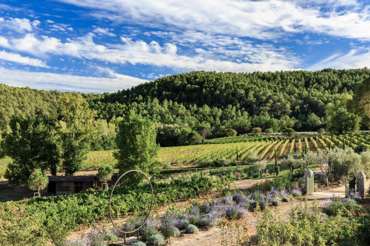 Chateau De Berne - Hotel Photo 50