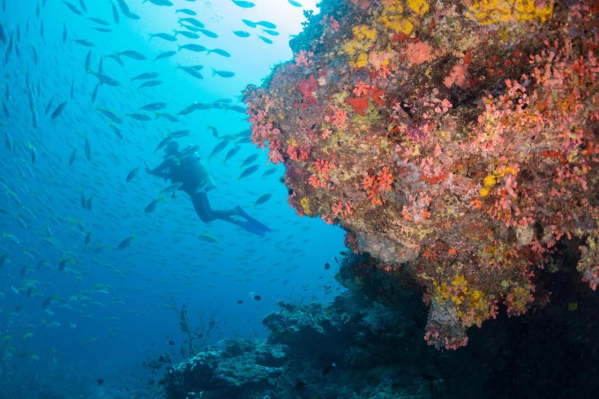 Milaidhoo Island - Hotel Photo 22