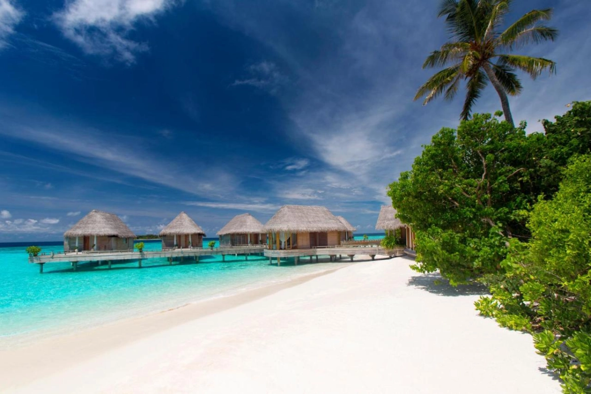 Milaidhoo Island - Hotel Photo 45