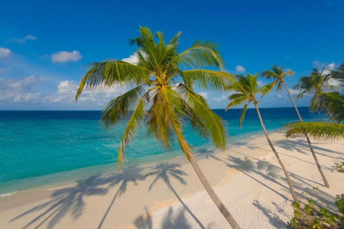 Milaidhoo Island - Hotel Photo 69