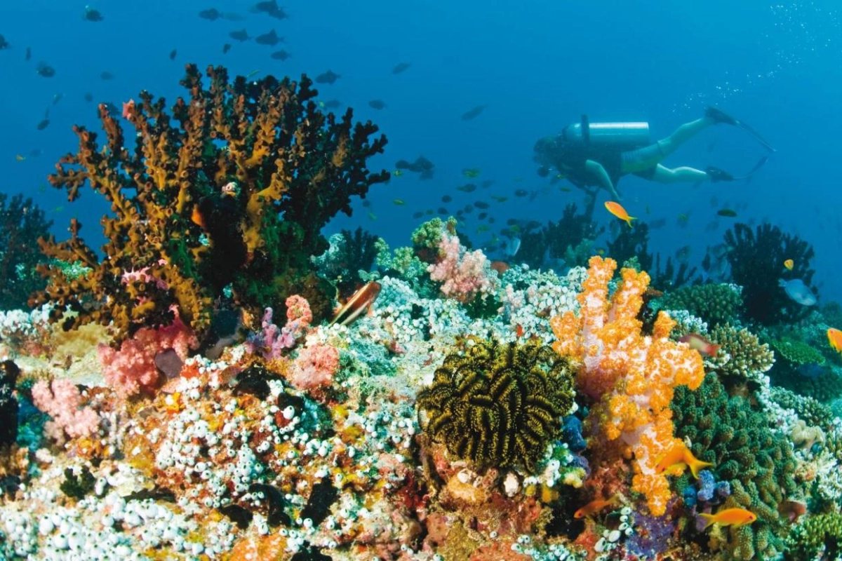 Baros Maldives - Hotel Photo 53