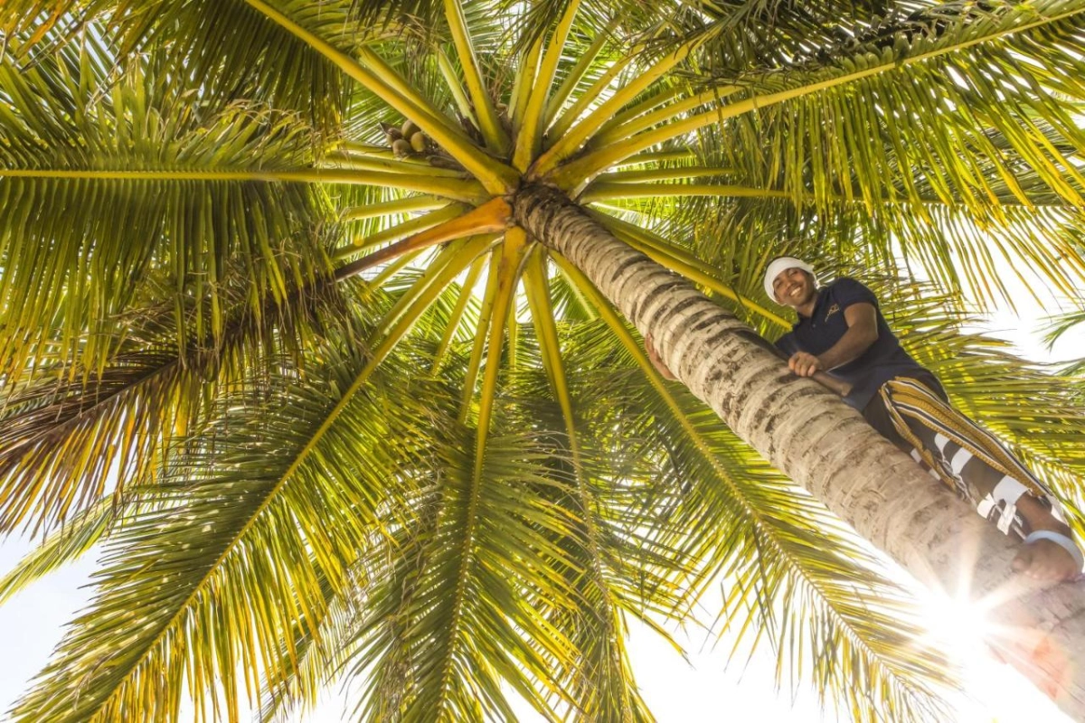 Baros Maldives - Hotel Photo 90