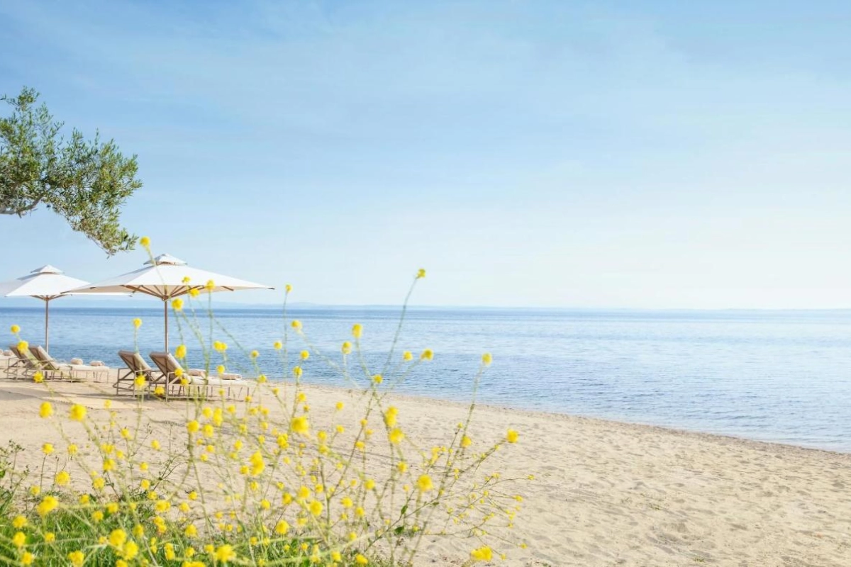 Ikos Olivia - Hotel Photo 33