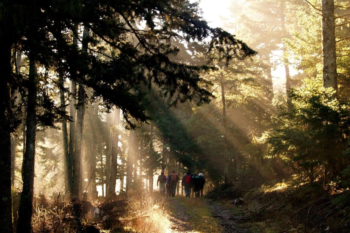 Mandarin Oriental Costa Navarino - Hotel Photo 30