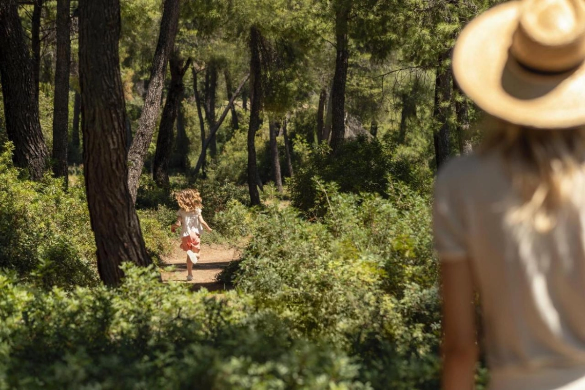 Sani Beach - Hotel Photo 10