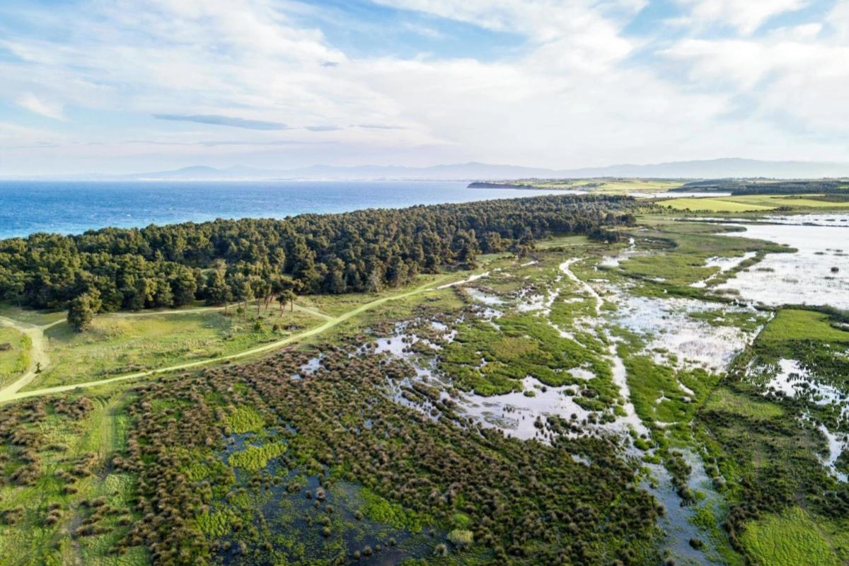 Sani Beach - Hotel Photo 11