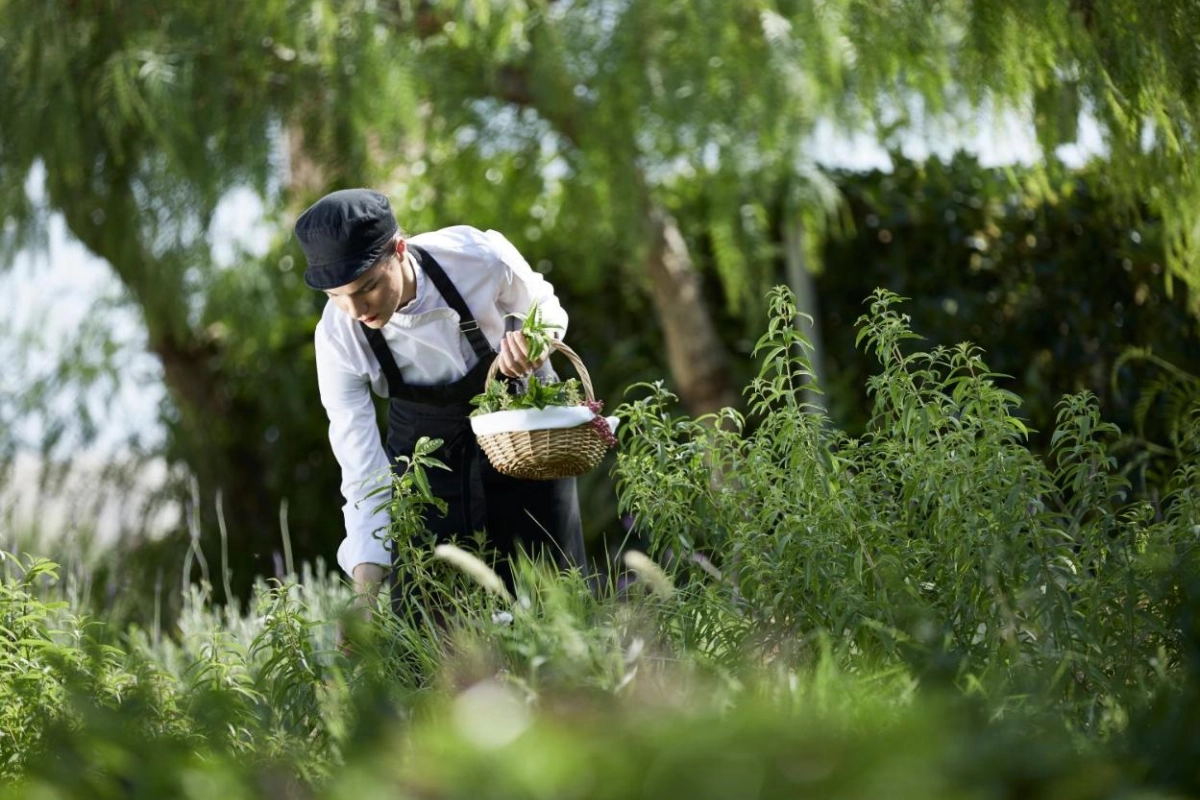 Boutique 5 Hotel & Spa - Hotel Photo 47