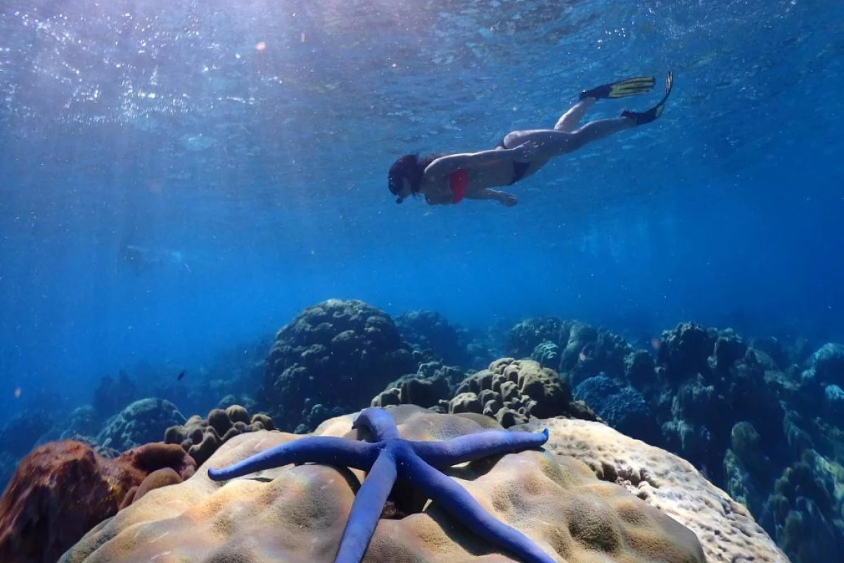 Pimalai Resort & Spa - Hotel Photo 43