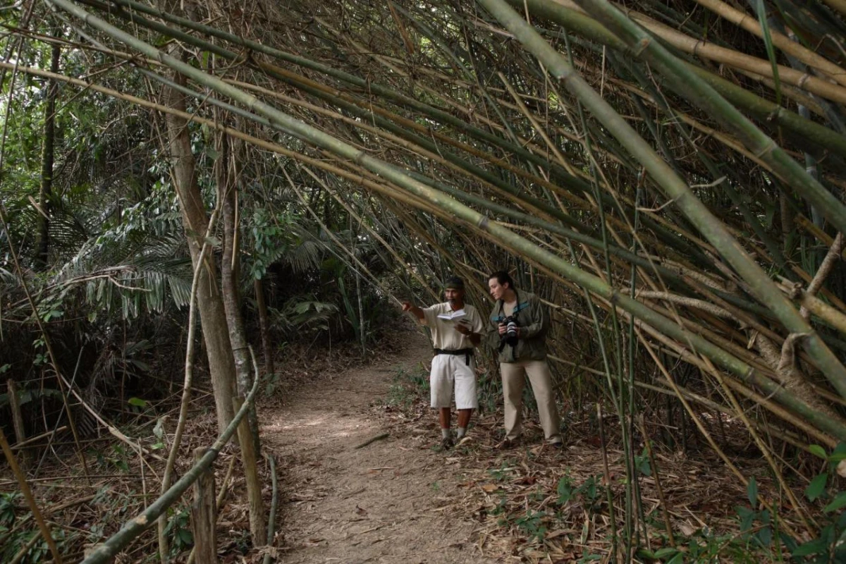 Tanjong Jara Resort - Hotel Photo 12