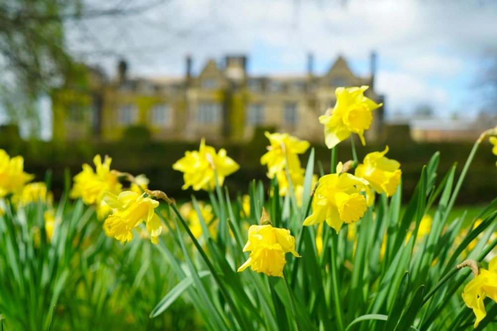 Gisborough Hall Hotel - Hotel Photo 10