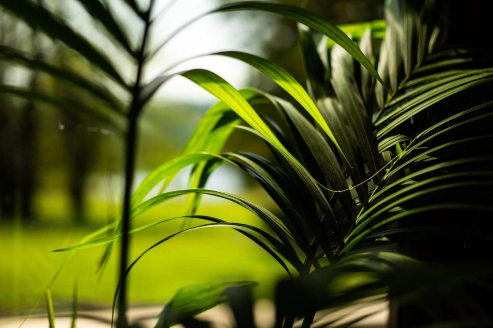 Armathwaite Hall Hotel & Spa - Hotel Photo 10