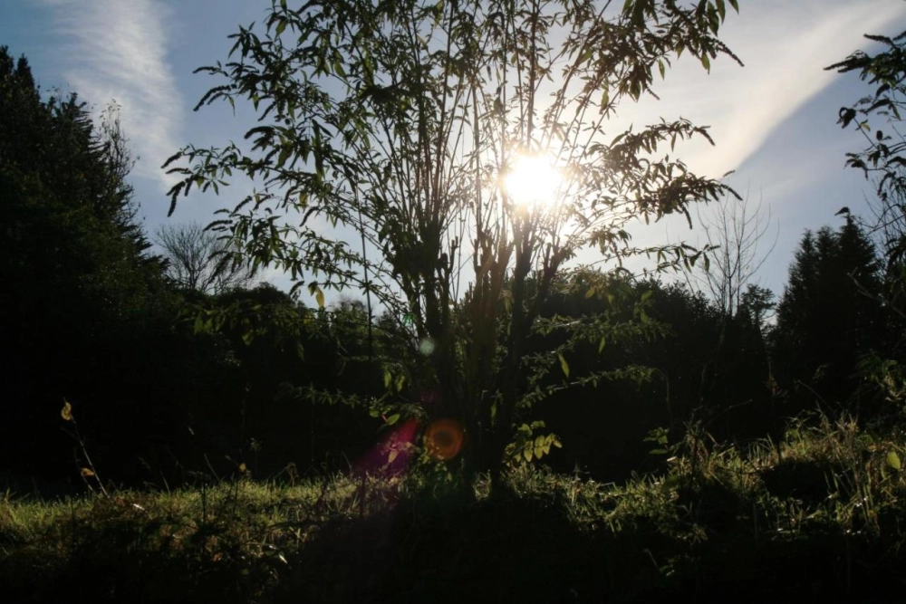 Lindeth Howe - Hotel Photo 35