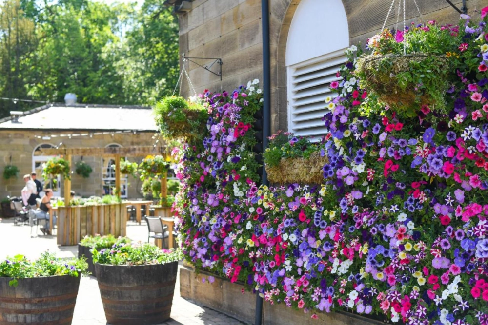 Beamish Hall Hotel - Hotel Photo 4