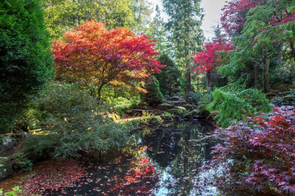 Slaley Hall Hotel, Spa & Golf Resort - Hotel Photo 40