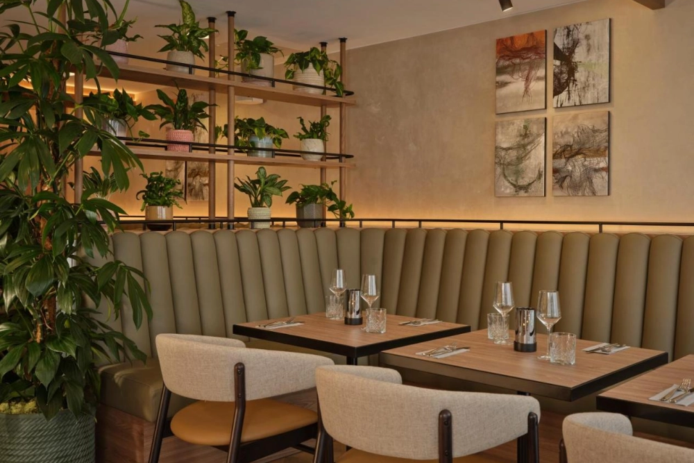 The Reach at Piccadilly, a Tribute Portfolio Hotel - Hotel Photo 7