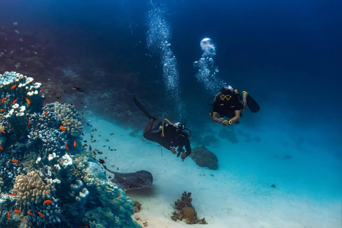 Heritance Aarah - Hotel Photo 32