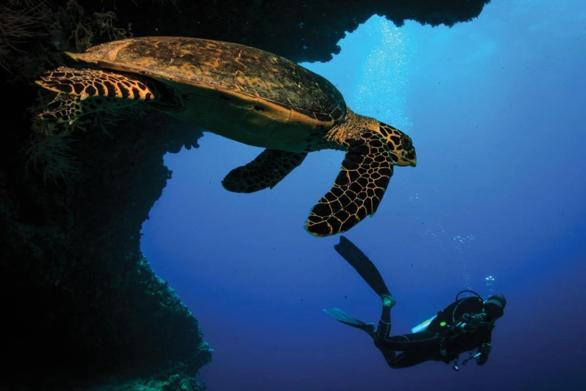 OBLU Select at Sangeli - Hotel Photo 7