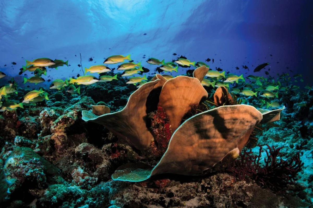 OBLU Select at Sangeli - Hotel Photo 9