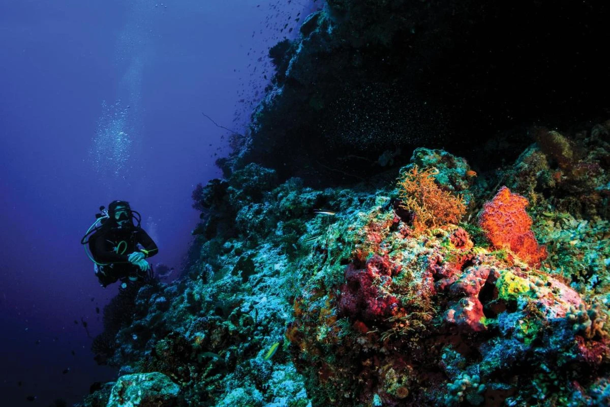 OBLU Select at Sangeli - Hotel Photo 10