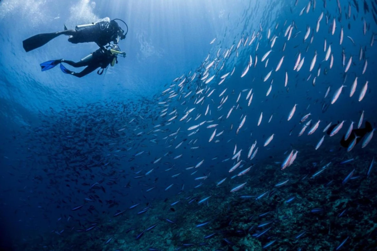 Mercure Maldives Kooddoo Resort - Hotel Photo 47