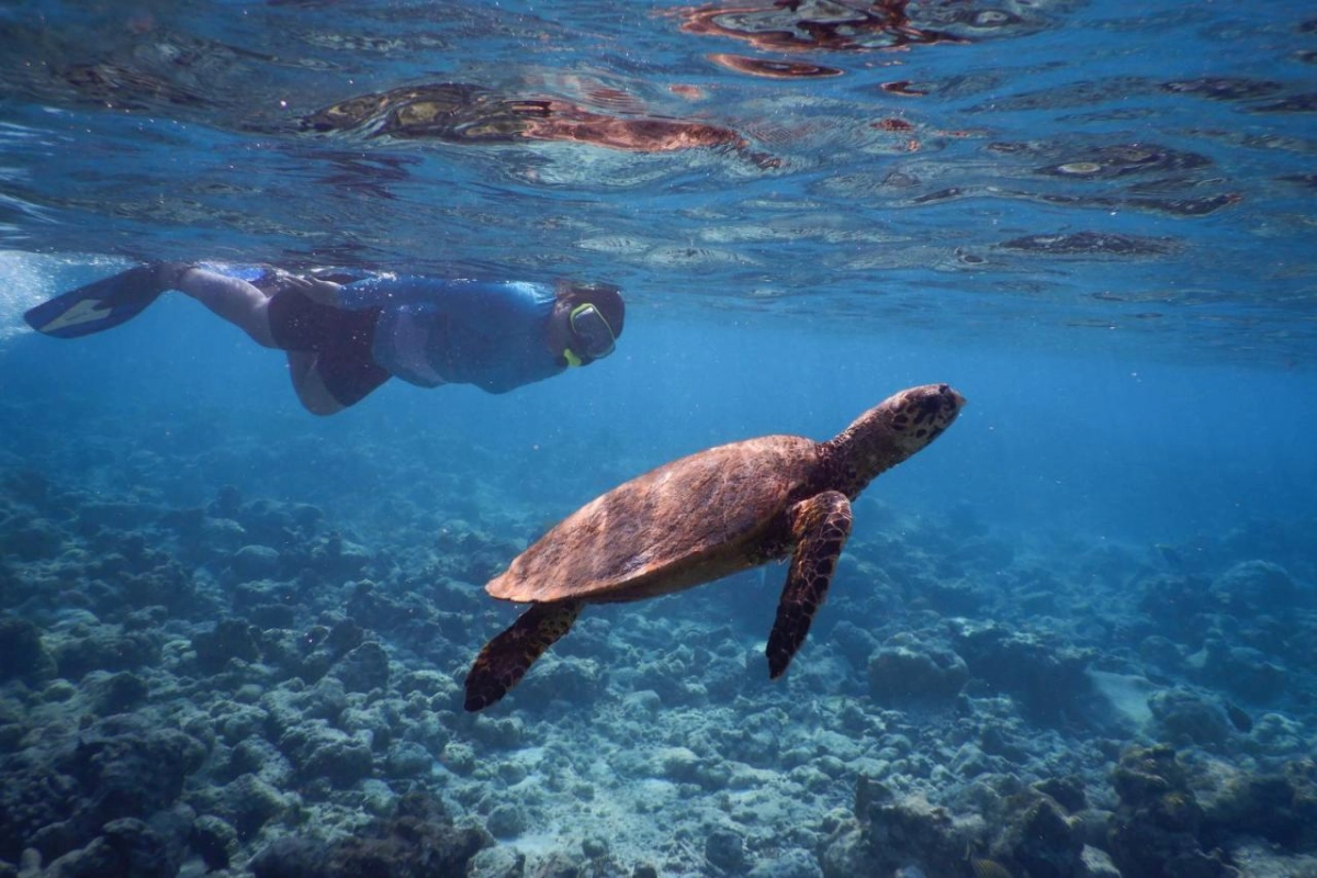 Reethi Faru Resort - Hotel Photo 31