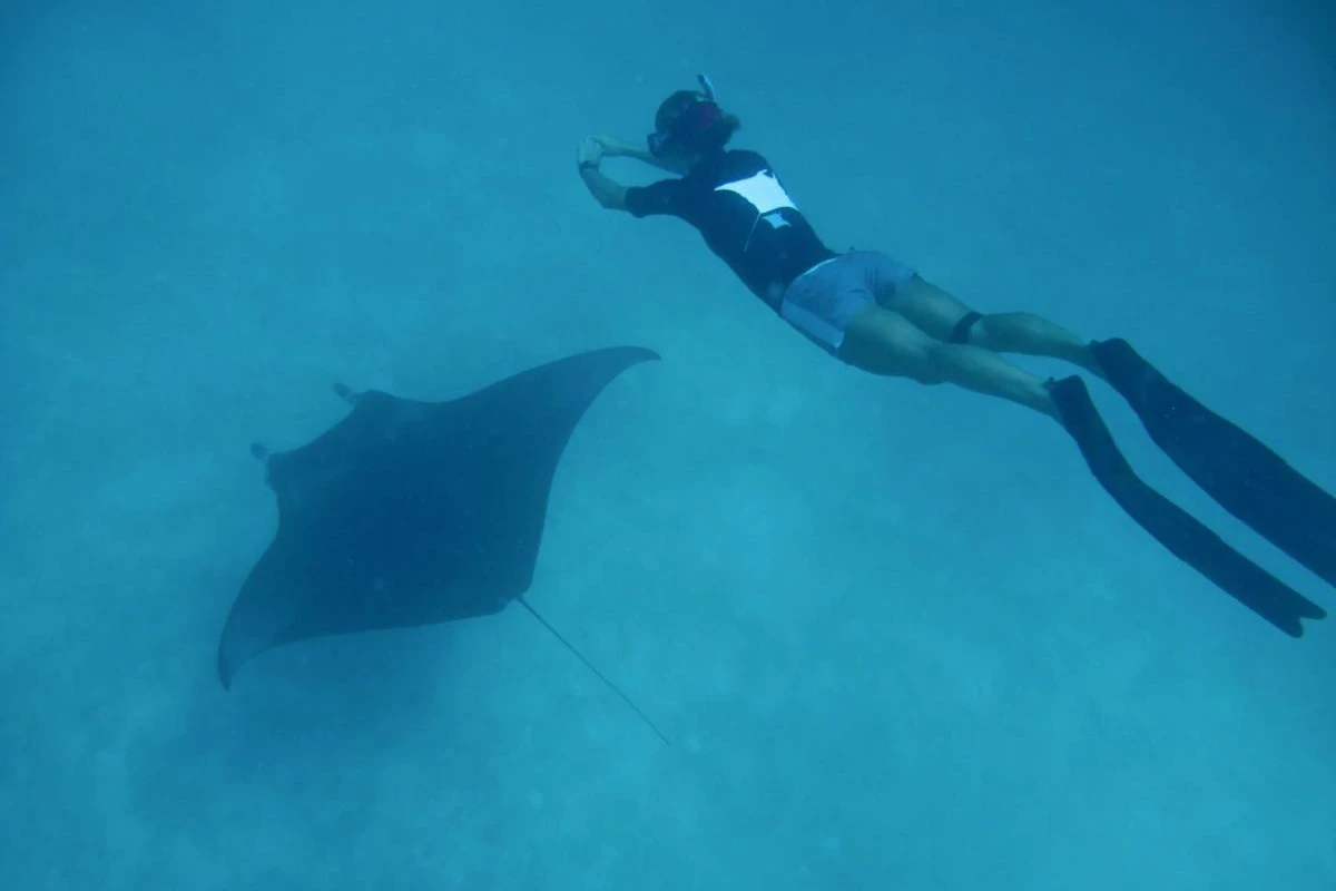 Coco Palm Dhuni Kolhu - Hotel Photo 29