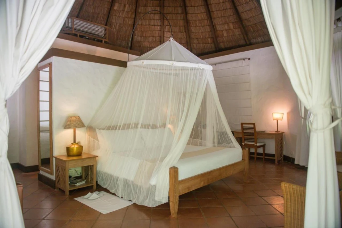 Coco Palm Dhuni Kolhu - Hotel Photo 51