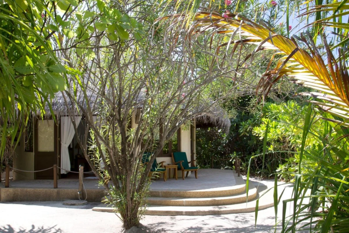 Coco Palm Dhuni Kolhu - Hotel Photo 53