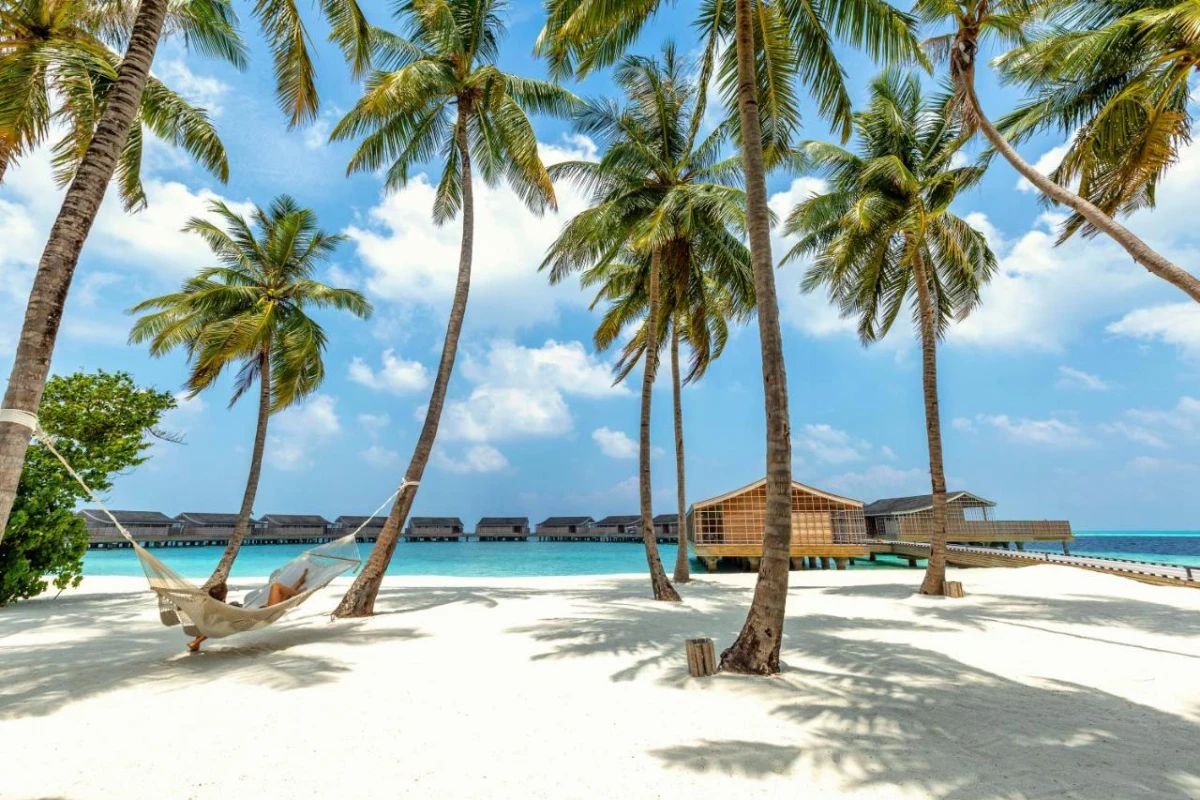 Kudadoo Maldives Private Island - Hotel Photo 3
