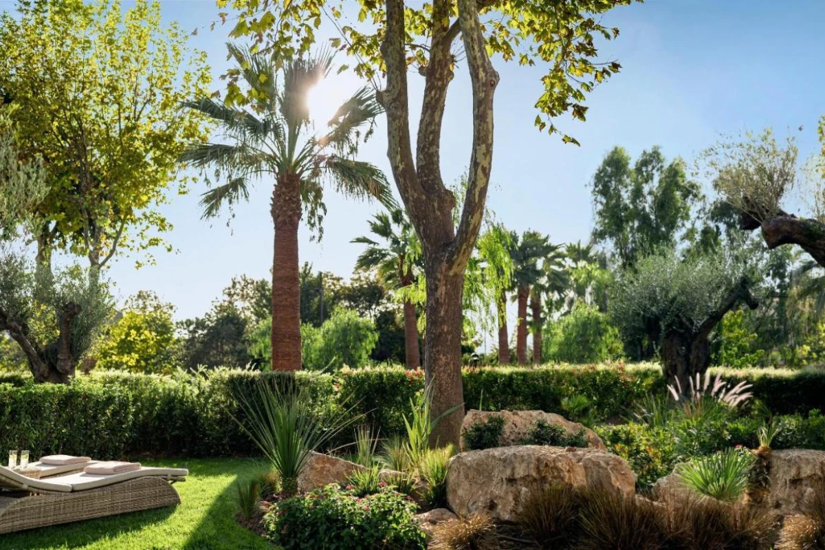 Porto Sani - Hotel Photo 69