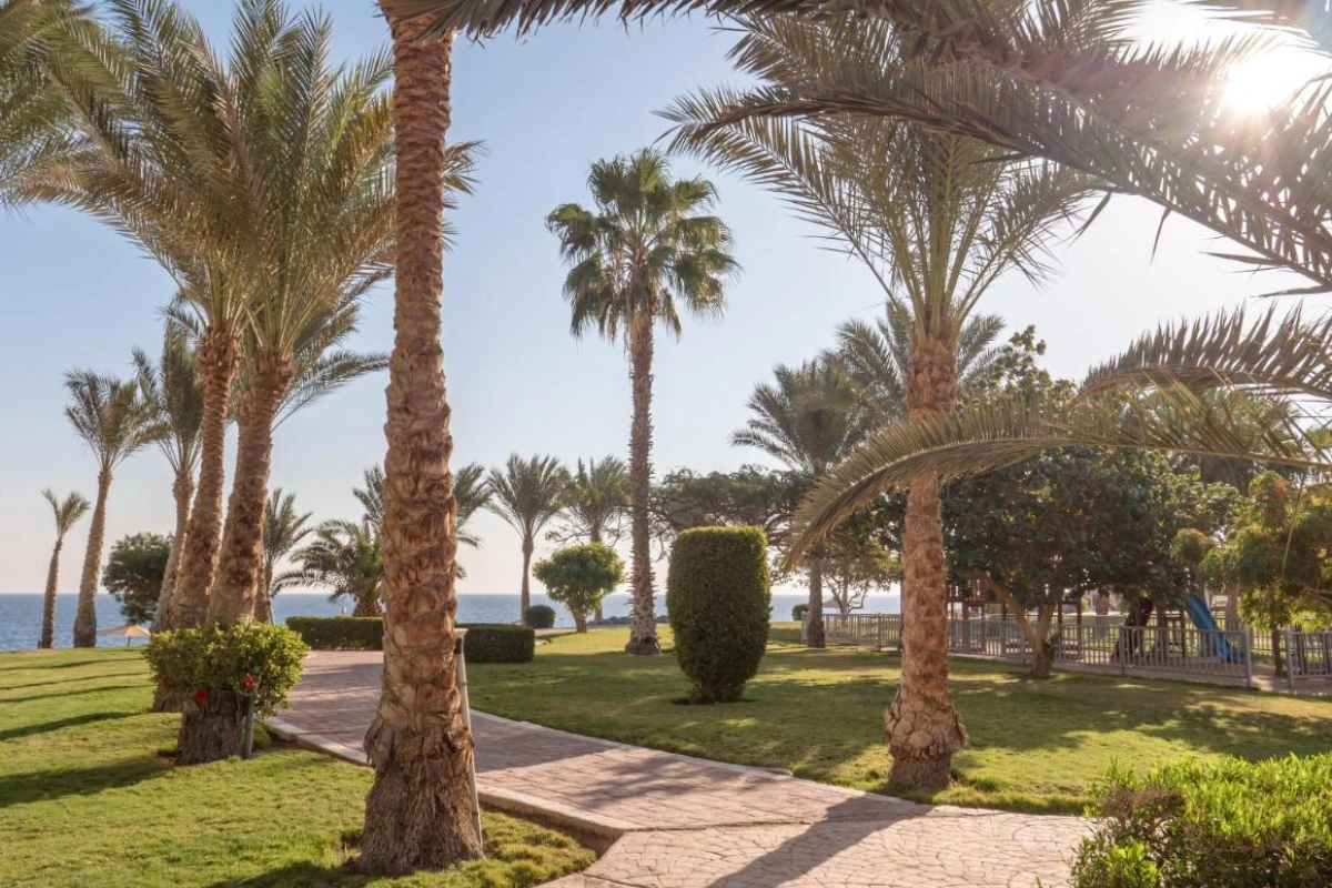 Serenity Alpha Beach - Hotel Photo 23