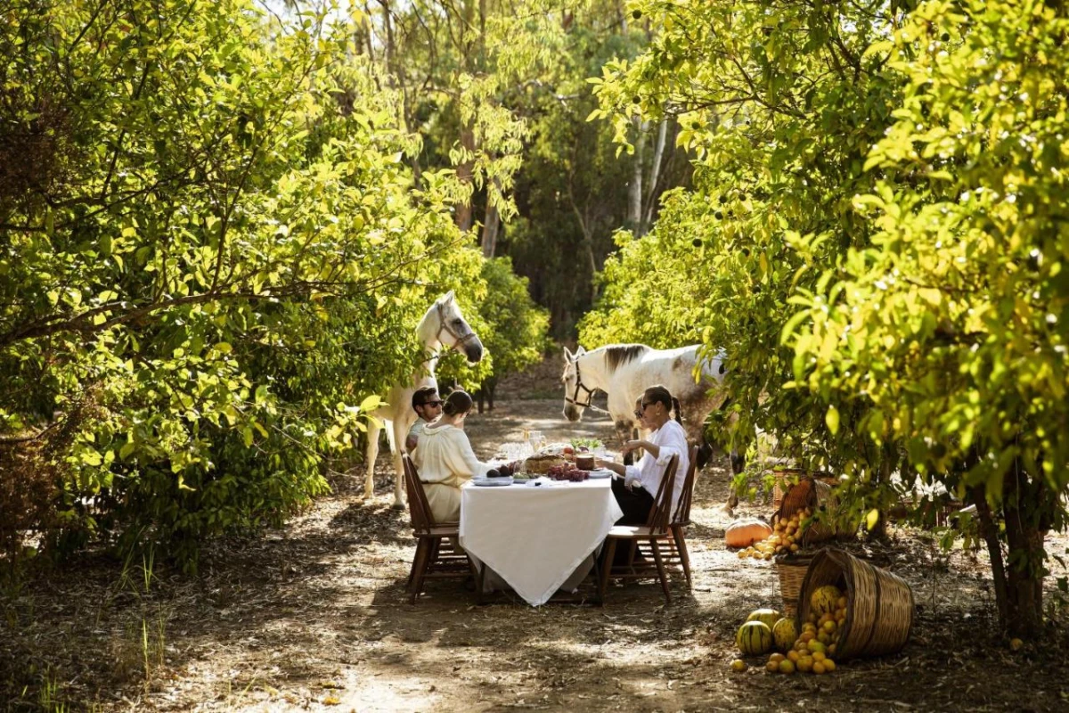 Domes Aulus Zante - Hotel Photo 5