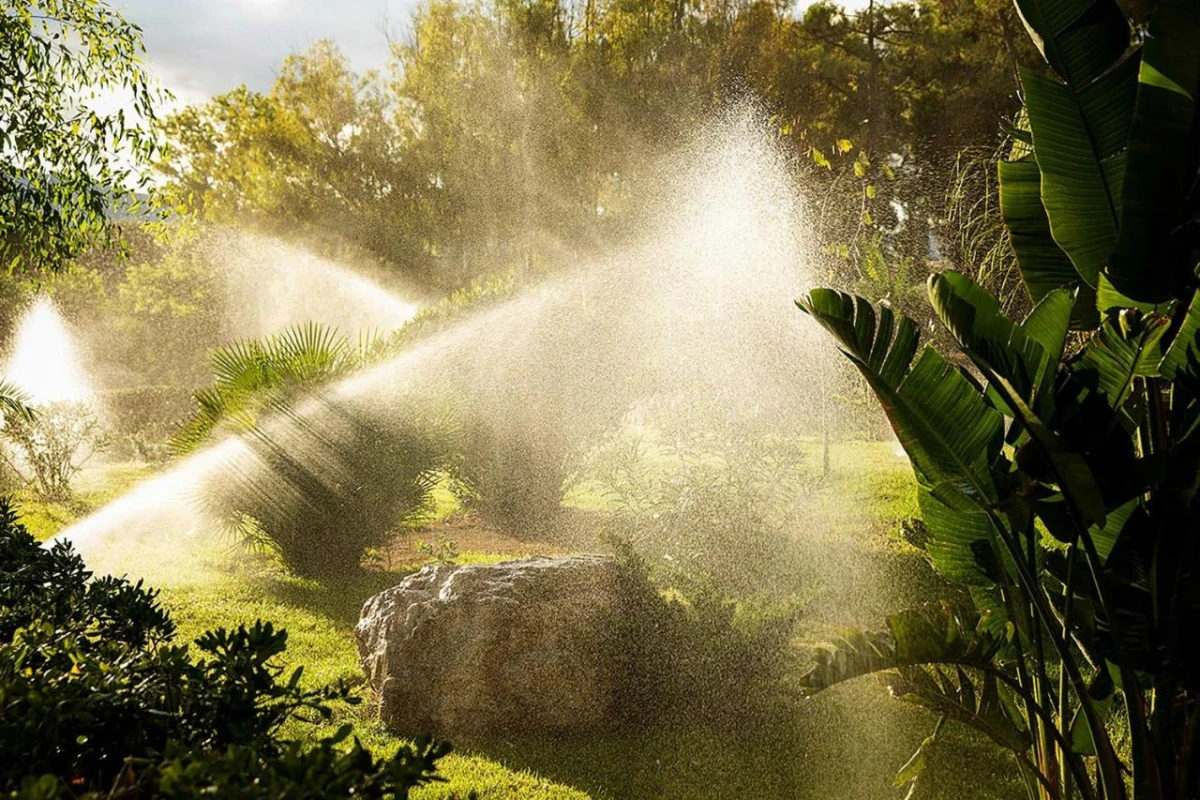 Domes Aulus Zante - Hotel Photo 23