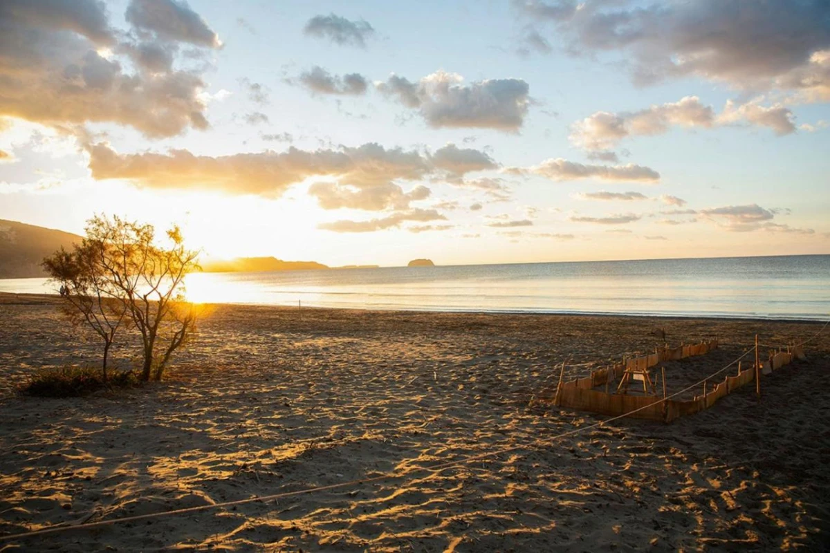 Domes Aulus Zante - Hotel Photo 24