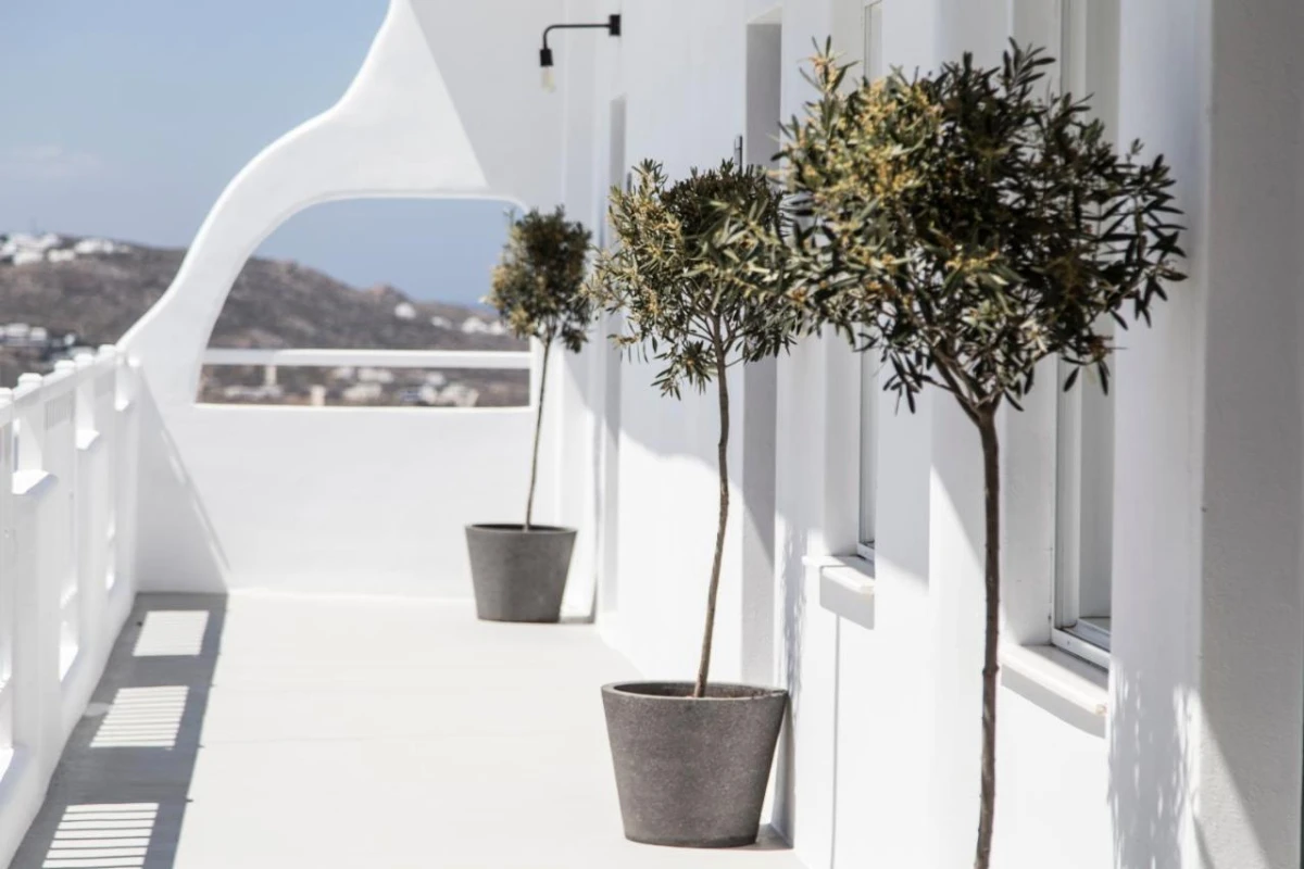 My Mykonos Boutique Hotel - Hotel Photo 31