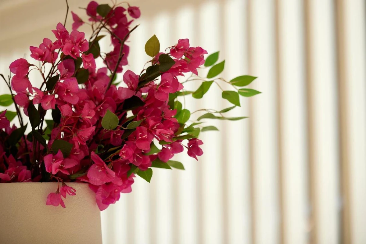 Once in Mykonos - Hotel Photo 76