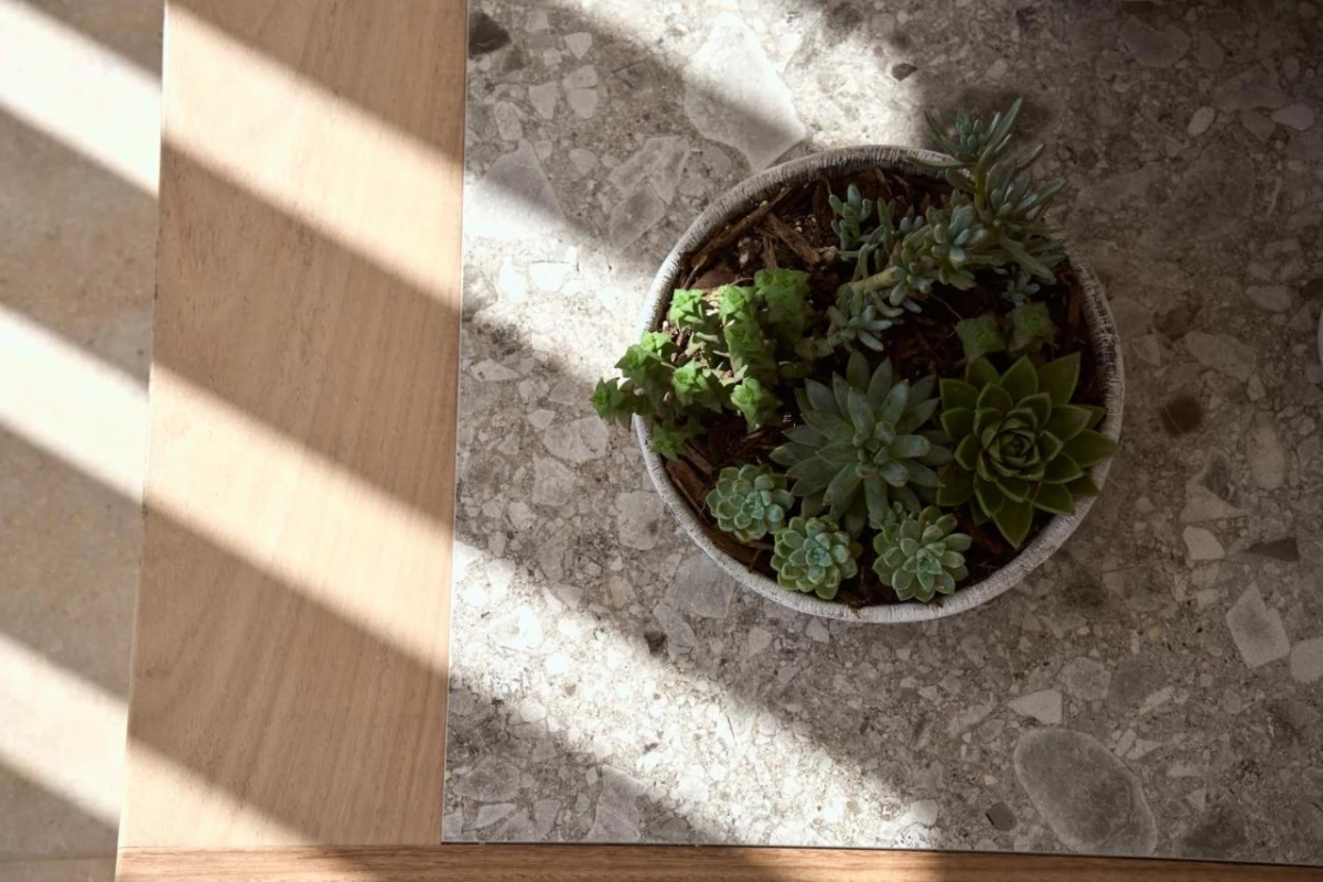 Once in Mykonos - Hotel Photo 77