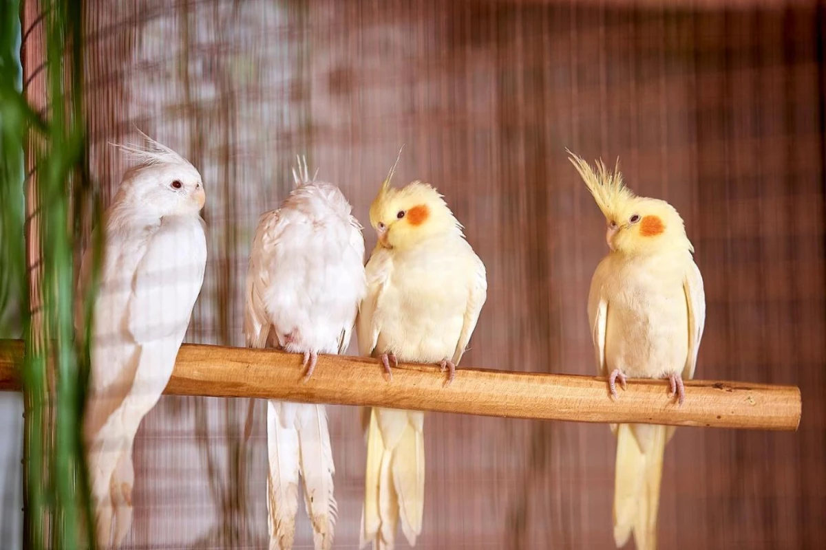 Palladium Boutique Hotel - Hotel Photo 35