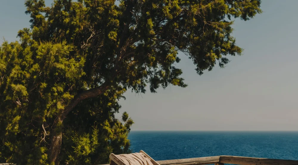 Apomero Two Bedroom Suite Sea View with Private Pool at The Wild By Interni