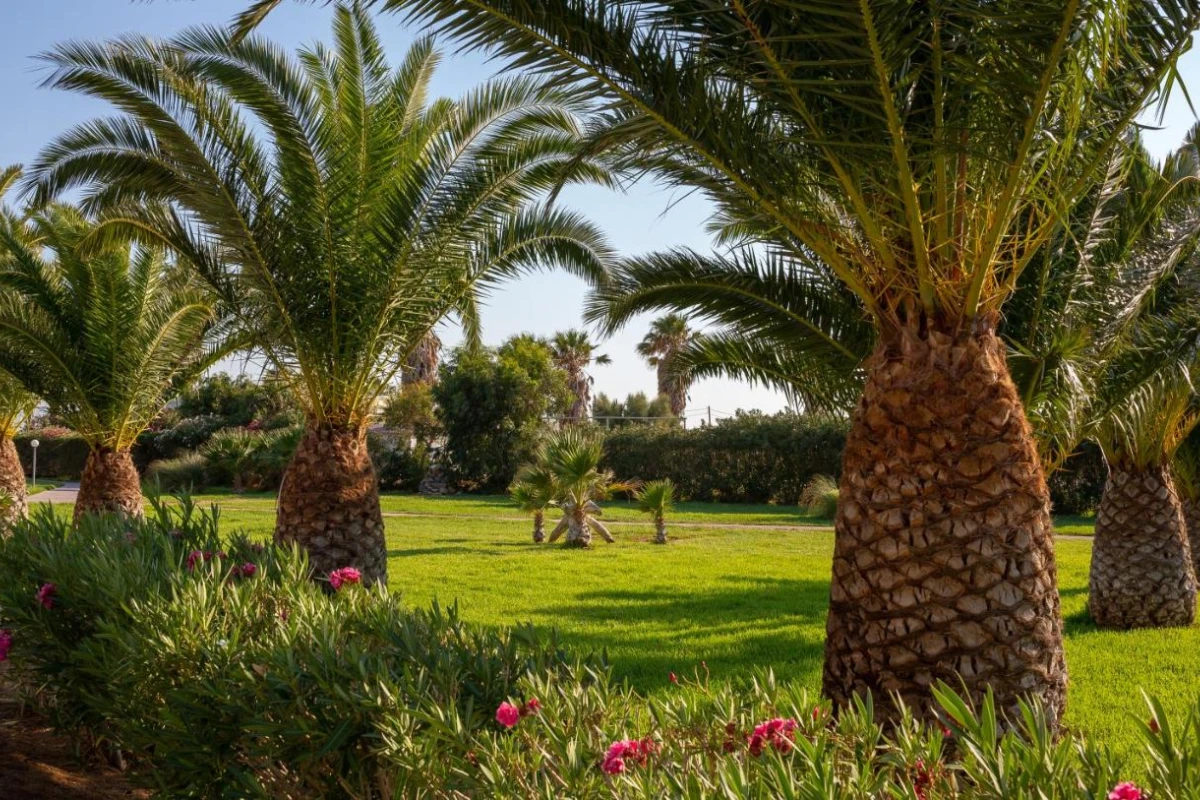 Akti Beach Club - Hotel Photo 21