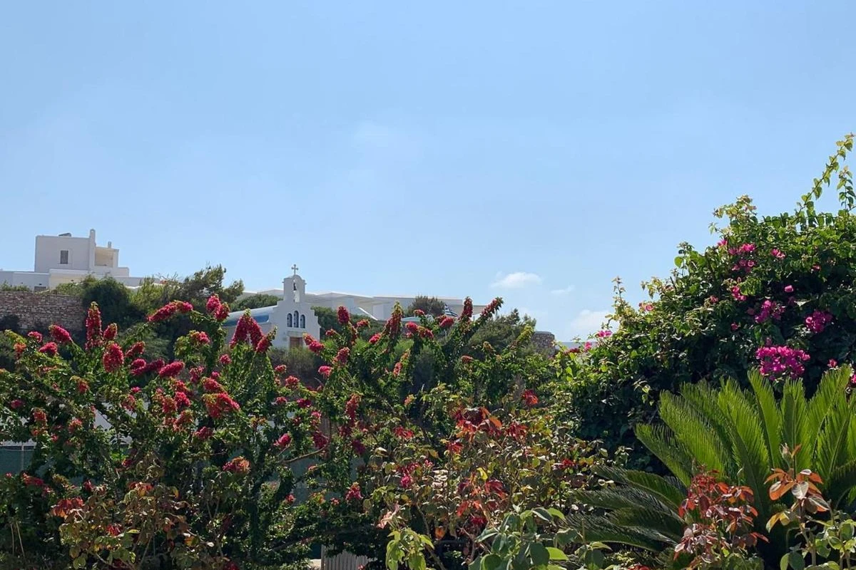 Paros Agnanti Hotel - Hotel Photo 57