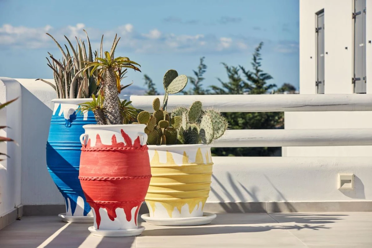 18 Grapes Hotel Naxos - Hotel Photo 44