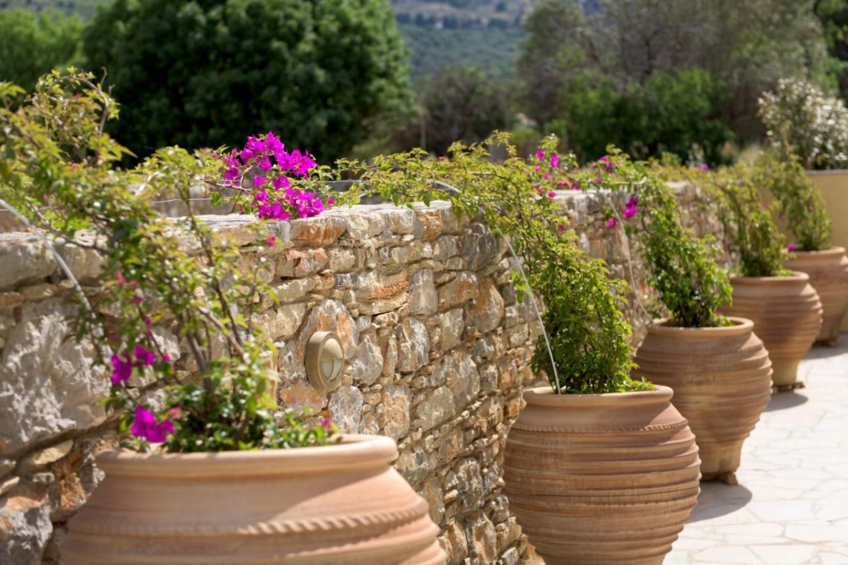 Asymi Residences - Hotel Photo 5