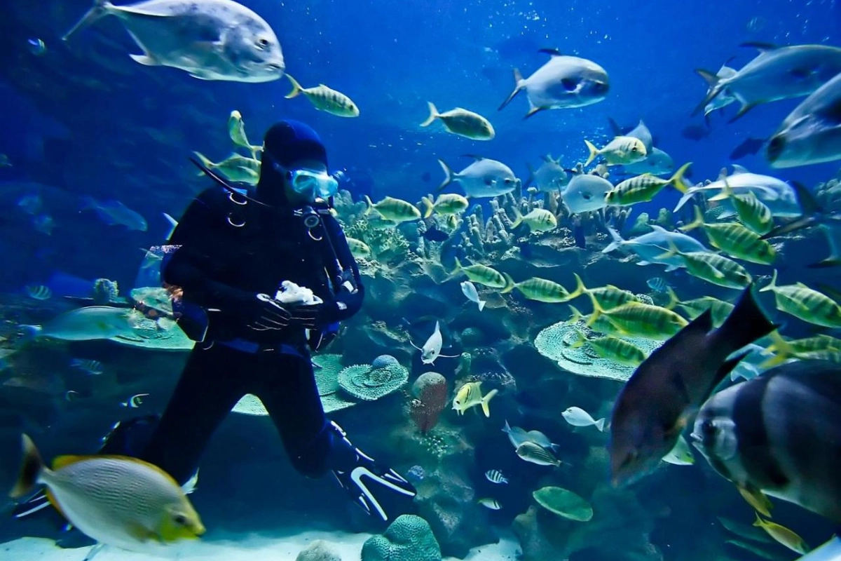 Club Barbados Resort & Spa - Hotel Photo 55