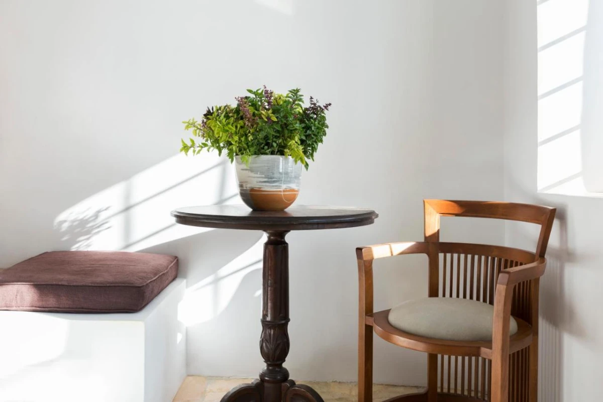 The Vasilicos - Hotel Photo 47