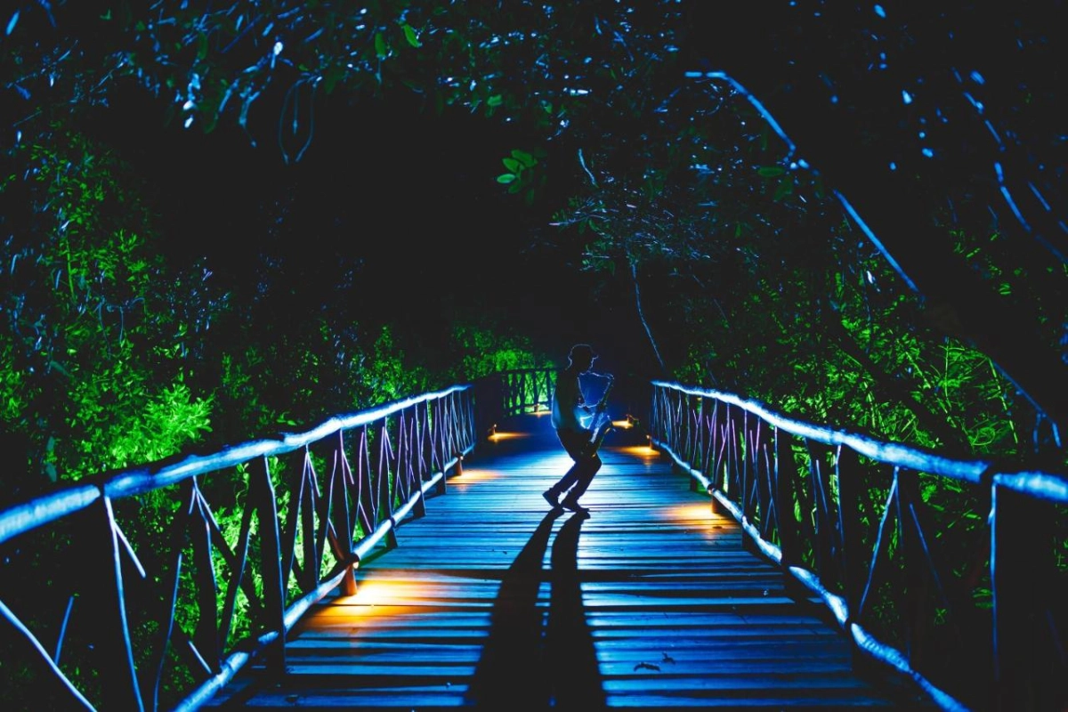 Catalonia Royal Tulum - Hotel Photo 22