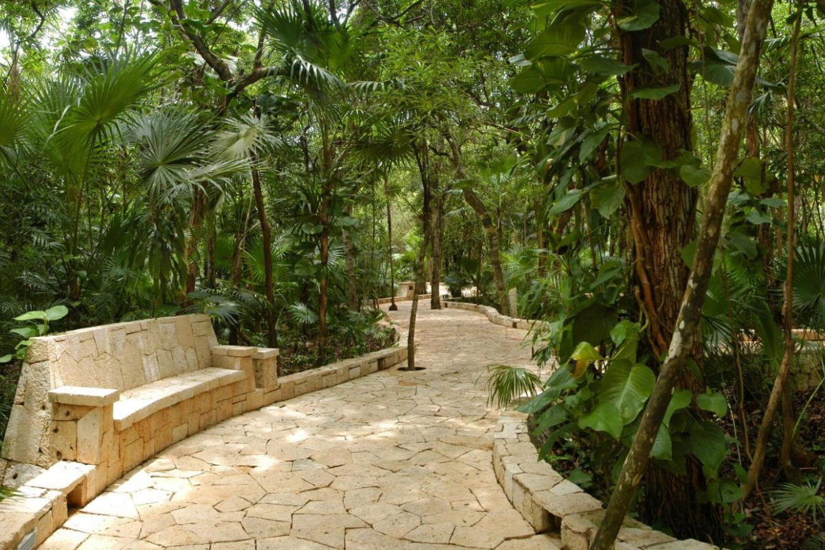 Catalonia Royal Tulum - Hotel Photo 42