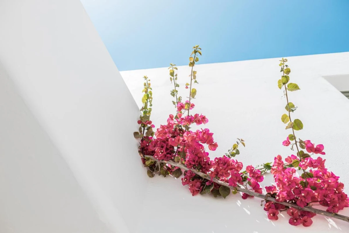 Bohemian Luxury Boutique Hotel - Hotel Photo 48