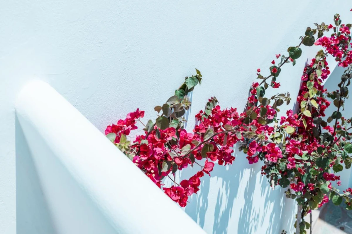 Bohemian Luxury Boutique Hotel - Hotel Photo 54